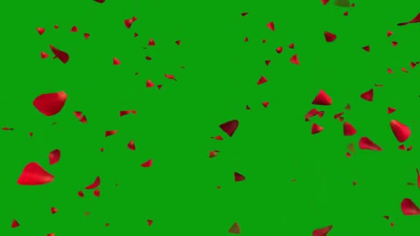 緑の画面の背景を持つ花びらの落下 — ストック動画