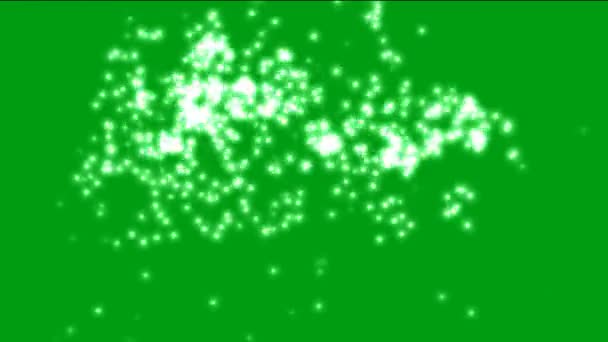 White Sparkles Green Screen Background — Stock Video