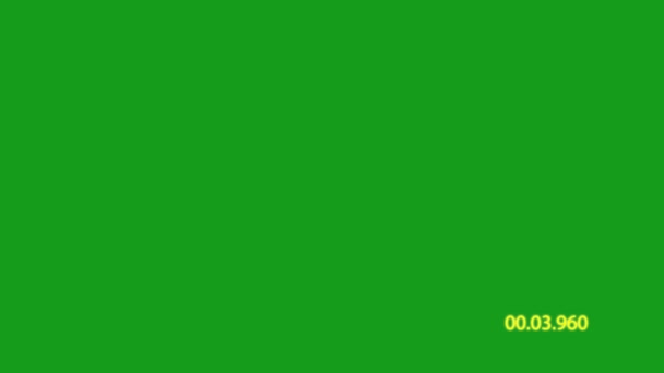 Zobacz Grafikę Ruchu Findera Zielonym Tle Ekranu — Wideo stockowe