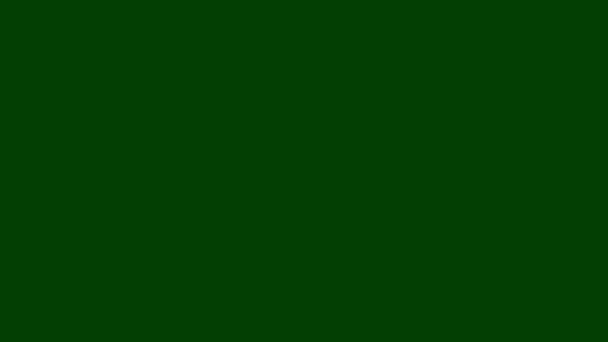 緑の画面の背景を持つ花火モーショングラフィックス1 — ストック動画