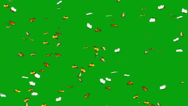 Vliegende Vlinders Met Groene Achtergrond — Stockvideo