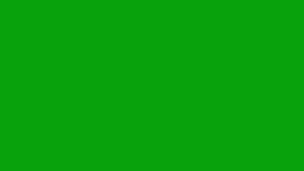 Lighting Bolt Motion Graphics Green Screen Background — Stock Video