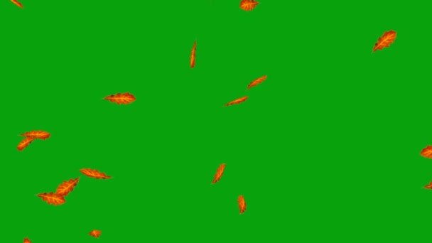 Düşen Meşe Yaprakları Yeşil Ekran Arkaplanlı Hareket Grafikleri — Stok video