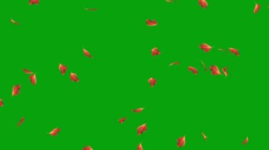 Düşen sassafras yaprakları yeşil ekran arkaplanıyla