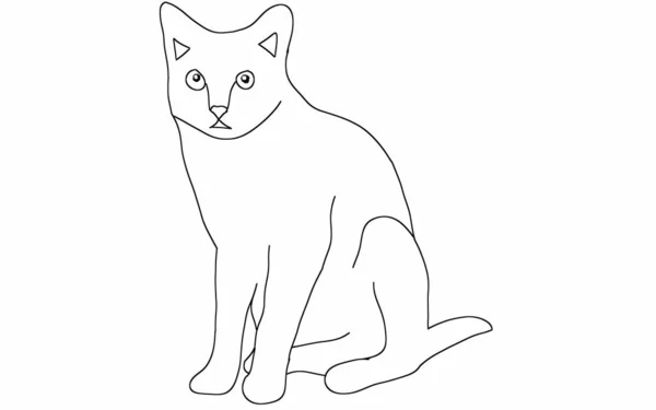 Piękny Siedzi Kot Cyfrowe Grafiki Białym Tle — Zdjęcie stockowe