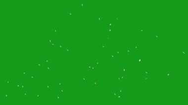 Düşen kiraz yaprakları yeşil ekran arkaplanlı hareket grafikleri