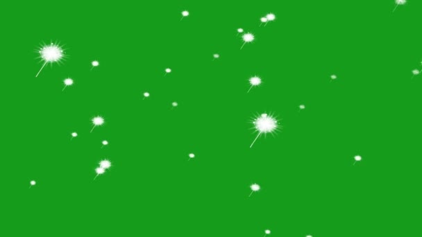 飘扬着绿色背景的小白花 — 图库视频影像