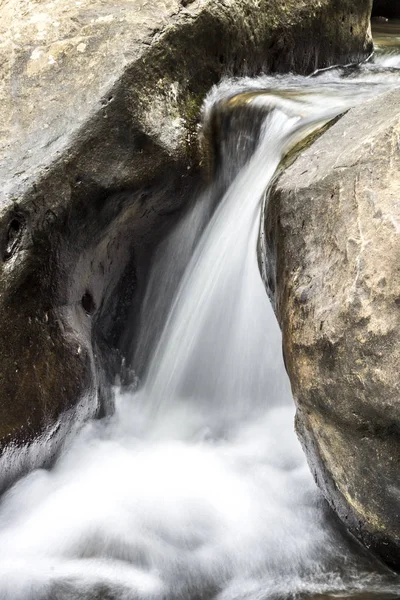 Ormandaki şelalede ipek suyu yakın çekim