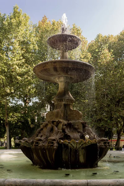 Ağaçlarla çevrili bir meydanda antik bir çeşme