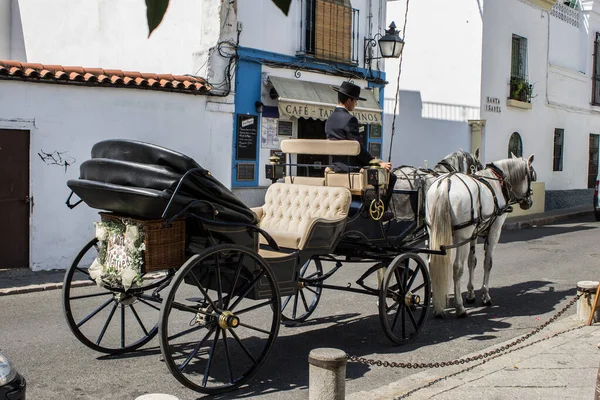Tipik bir Endülüs meydanında iki beyaz atlı araba.
