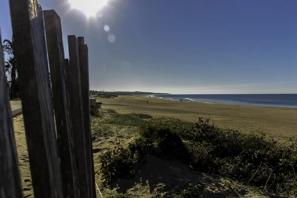 Güneşli bir günde, boş bir kumsal.