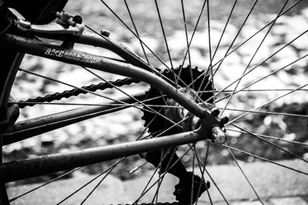 Close-up da roda traseira de uma bicicleta com sua corrente e rodas dentadas — Fotografia de Stock