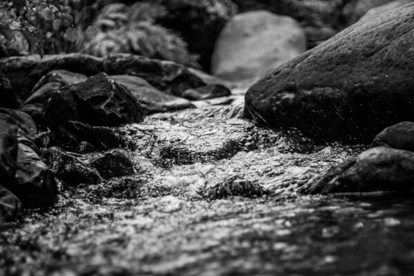 River stream close-up in black and white