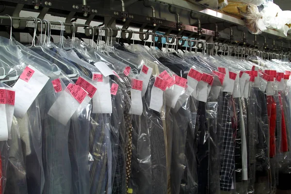 Pendras en la cinta de transporte de tintorera