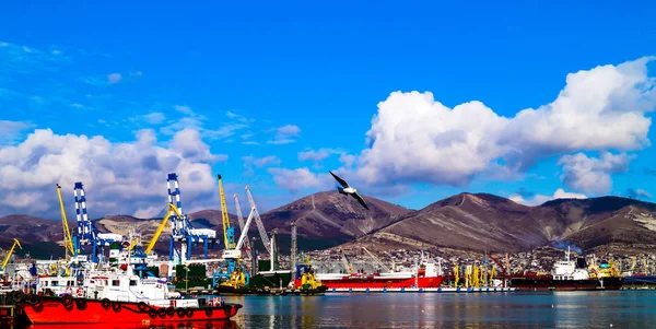 Novorossiysk Limanı, Rusya. Novorossiysk Deniz Limanı, kargo taşımacılığı açısından Rusya 'nın en büyük limanı ve Avrupa' nın en büyük limanlarından biridir. Novorossiysk, Rusya 'nın güneyinde, Krasnodar Bölgesi' nde bir kahraman şehridir.. 
