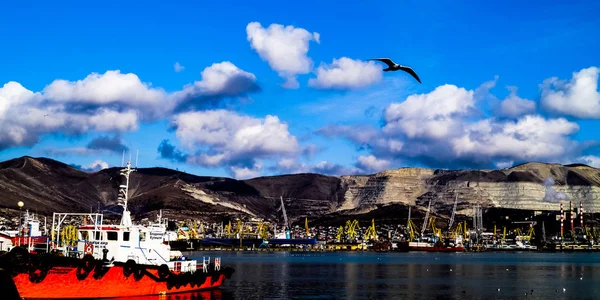 Puerto Novorossiysk Rusia Puerto Marítimo Novorossiysk Más Grande Rusia Términos — Foto de Stock