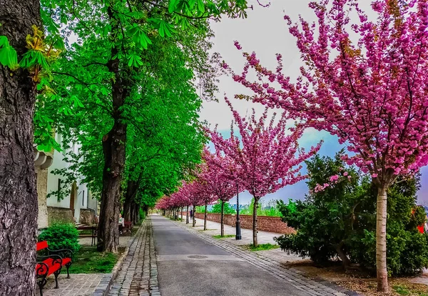 Budapešť Hlavním Městě Maďarska — Stock fotografie