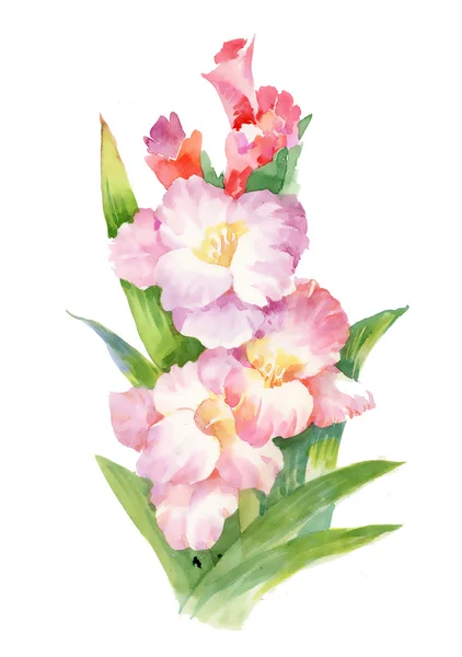 Akvarel v létě kvetoucí květiny — Stock fotografie