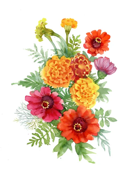 Acquerello fiori fioritura estate — Foto Stock