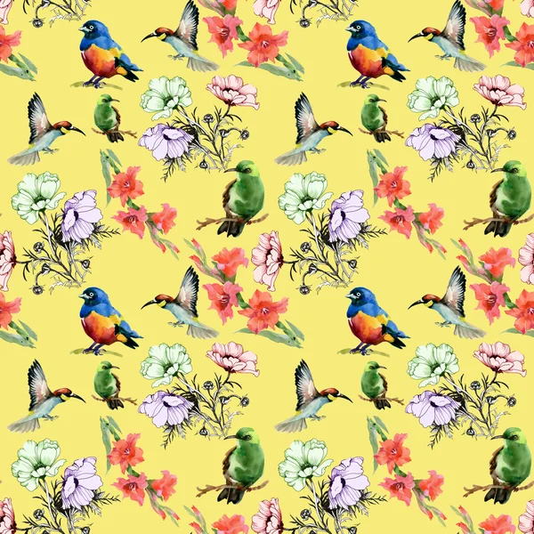 Watercolor Flowers and colored birds — Stock Photo, Image