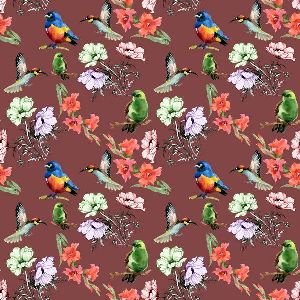 Watercolor Bunga dan burung berwarna — Stok Foto