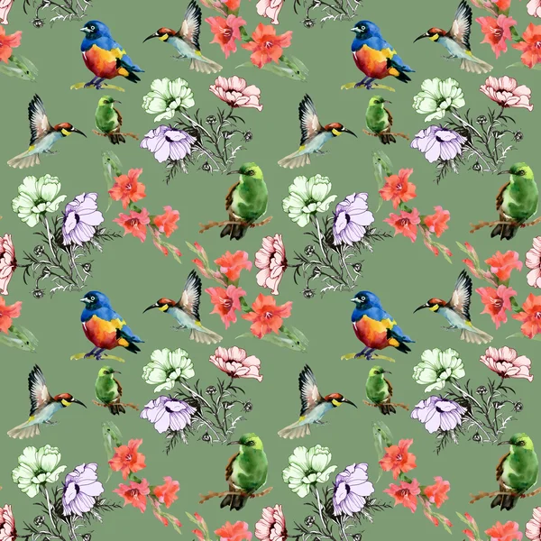 Flowers and colored birds — Stock Photo, Image