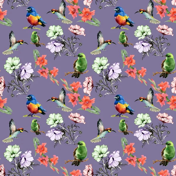 Flowers and colored birds — Stock Photo, Image