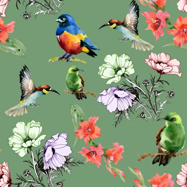 Verano Flores y pájaros —  Fotos de Stock