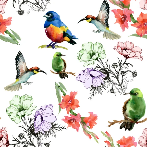 Summer Flowers and birds — Stock Photo, Image