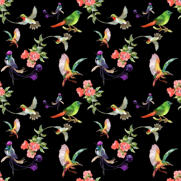 Pattern with beautiful flowers and colorful birds — Stock Photo, Image