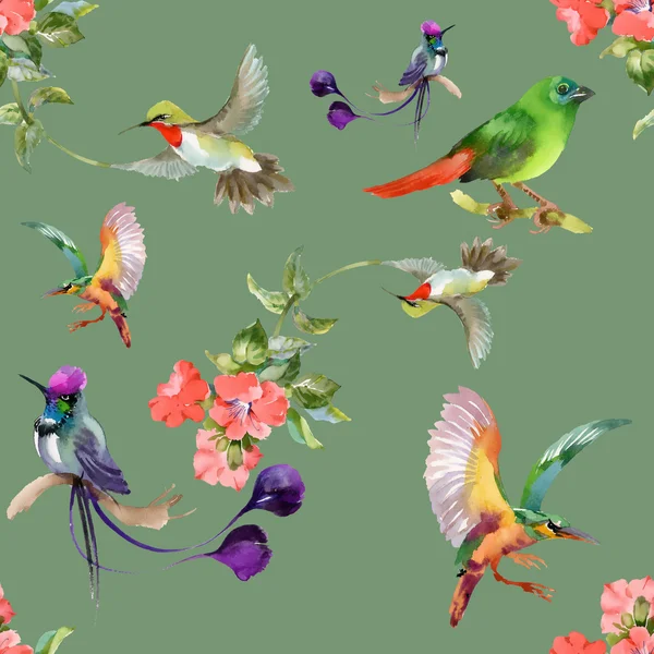 Pattern with beautiful flowers and colorful birds — Stock Photo, Image