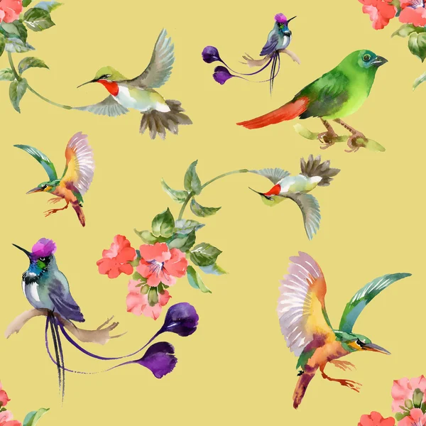 Vzorek s krásnými květinami a pestré ptáky — Stock fotografie
