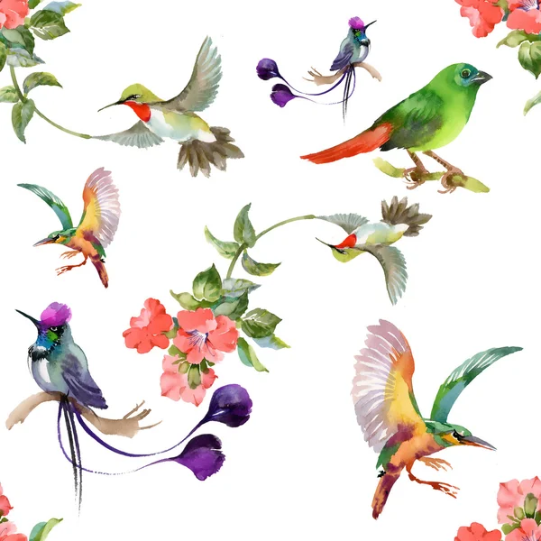 Μοτίβο με όμορφα λουλούδια και πολύχρωμα πουλιά — Φωτογραφία Αρχείου
