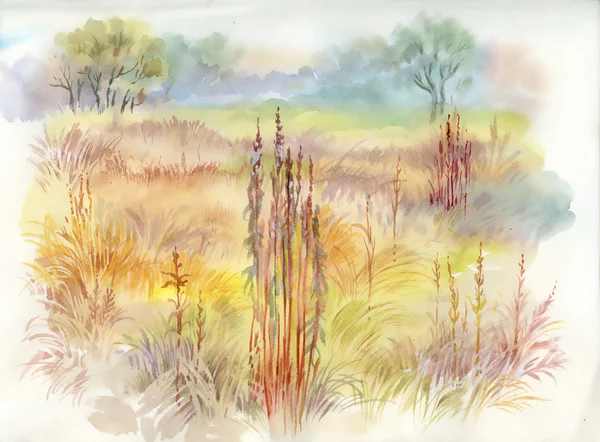 Watercolor summer rural landscape — Stock Photo, Image