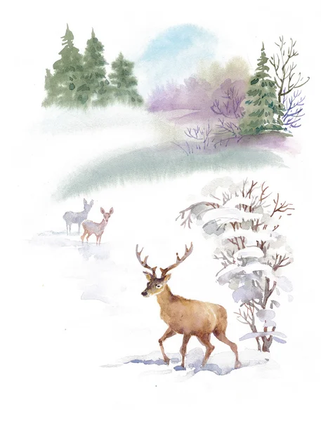 Paysage hivernal avec cerfs — Photo