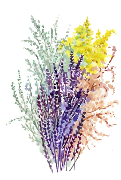 Flowers watercolor illustration — Stock Photo, Image