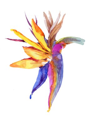 çiçek suluboya resim