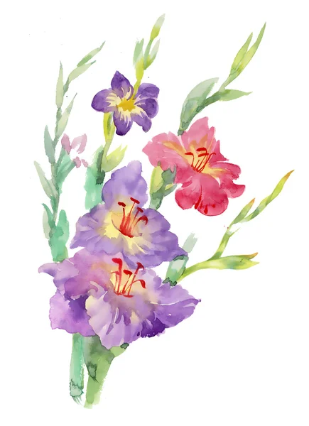 Çiçekler suluboya çizimi — Stok fotoğraf
