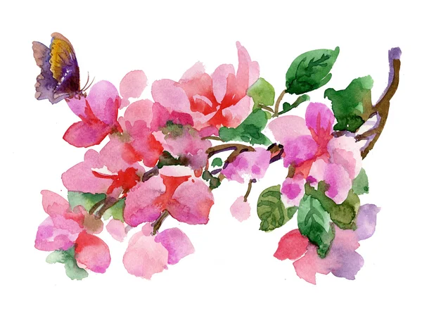 Watercolor pink flowers — Stock Photo, Image