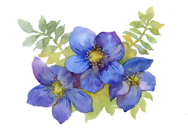 Flowers watercolor illustration — Stock Photo, Image