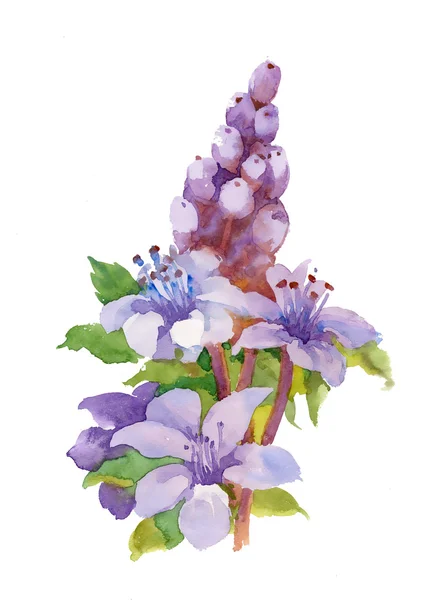 Fiori acquerello illustrazione — Foto Stock