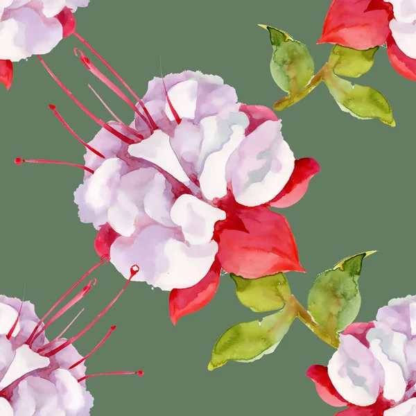 Візерунок з красивими квітами — стокове фото