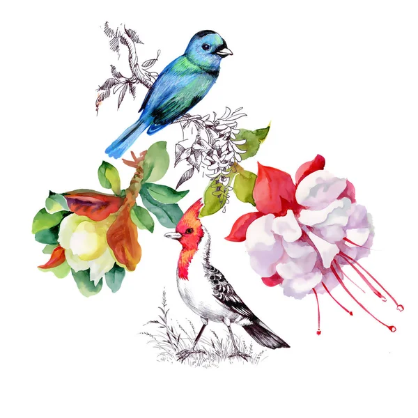 Summer blooming flowers and colorful birds — Stock Photo, Image