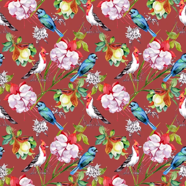 Patroon met prachtige bloemen en kleurrijke vogels — Stockfoto