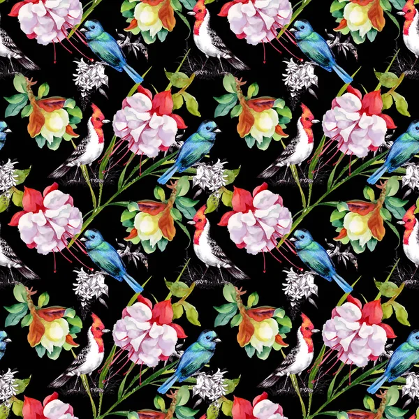 Pattern with beautiful flowers and colorful birds — Stock Photo, Image