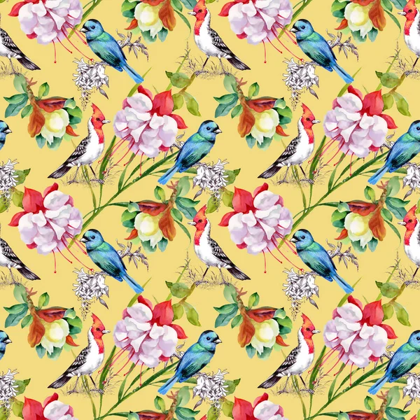 Pattern with beautiful flowers and colorful birds — Stock Photo, Image