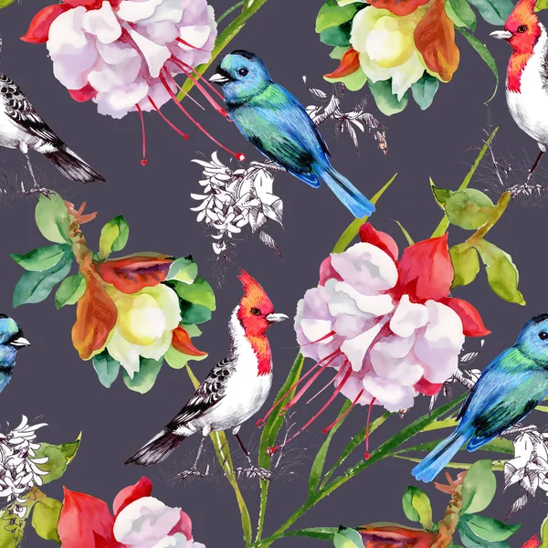 güzel çiçekler ve renkli kuşlar ile desen  