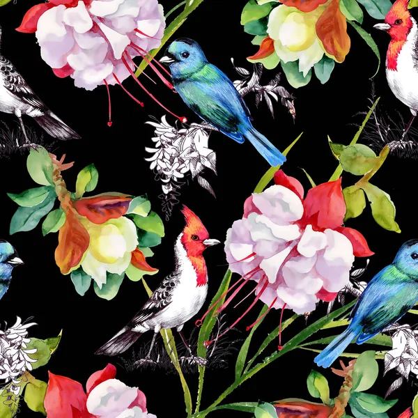 Μοτίβο με όμορφα λουλούδια και πολύχρωμα πουλιά — Φωτογραφία Αρχείου