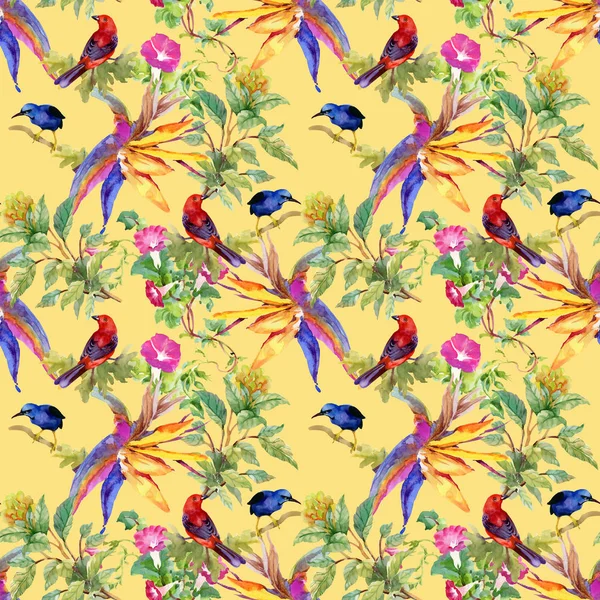 Farverige mønster med blomster og fugle - Stock-foto