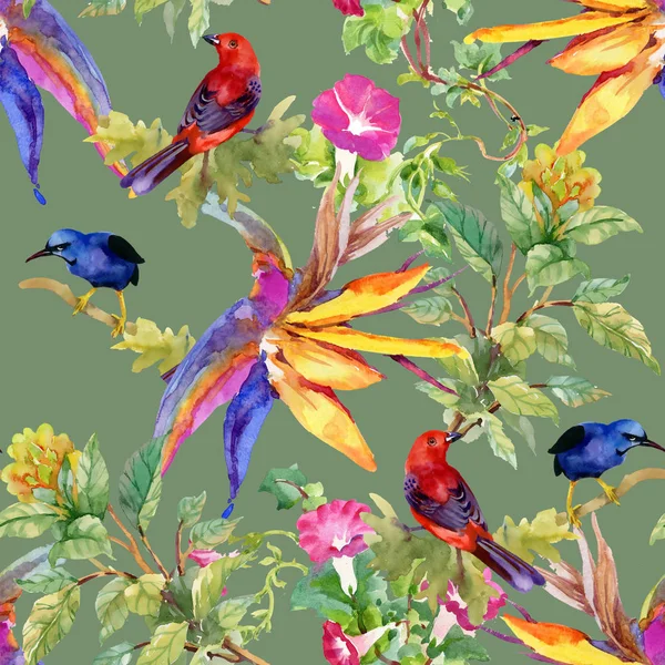 用鲜花和鸟儿的炫彩花纹 — 图库照片